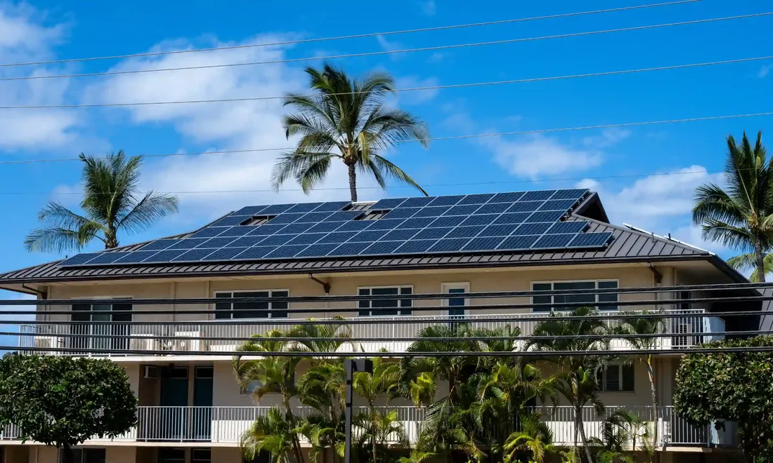 Rooftop solar on a Hawaiʻi building, palms rising behind it