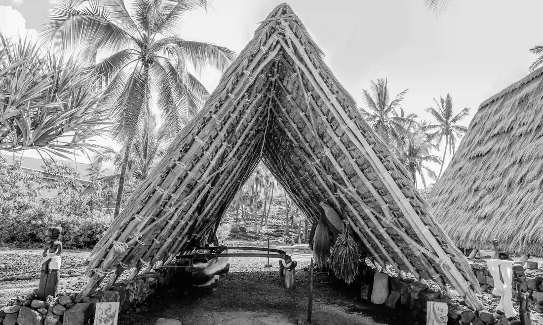 A thatched hale standing among palms, stone walls at its base
