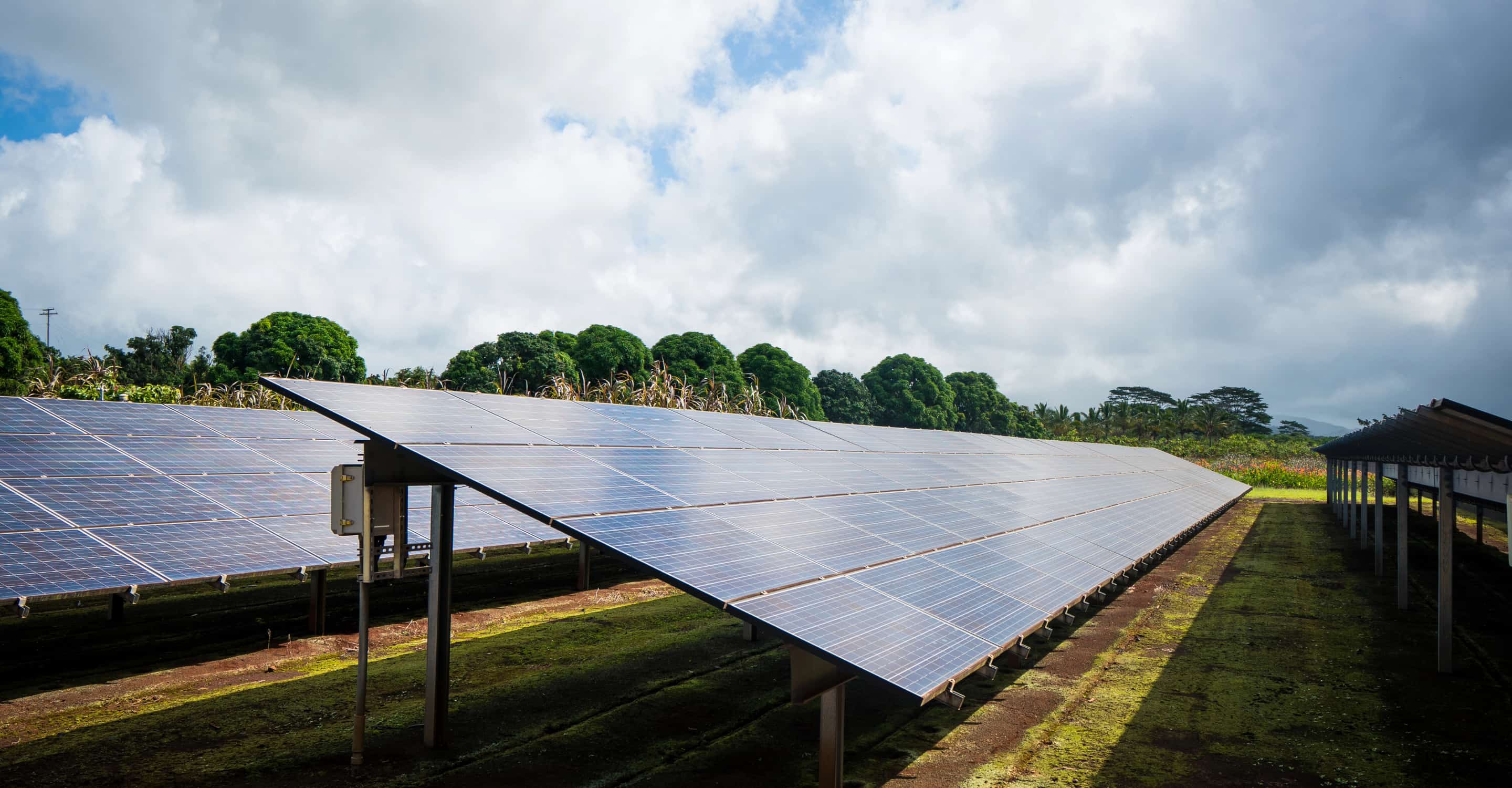 A ground-mounted solar array running through a green field, with trees and cloud beyond